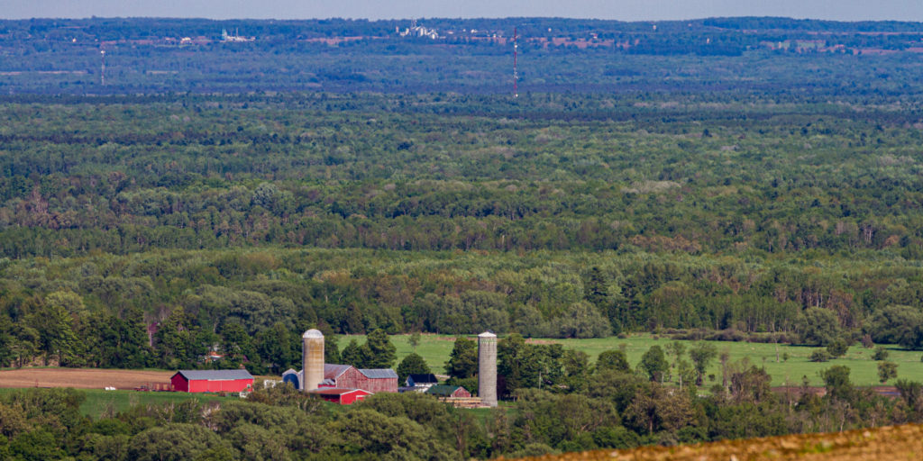 The 'Purple Hills" Surrounding the Area