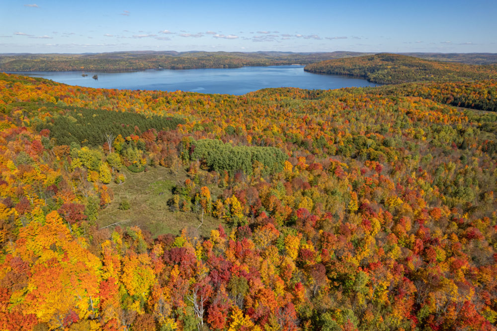 Aerial view of autumn colours